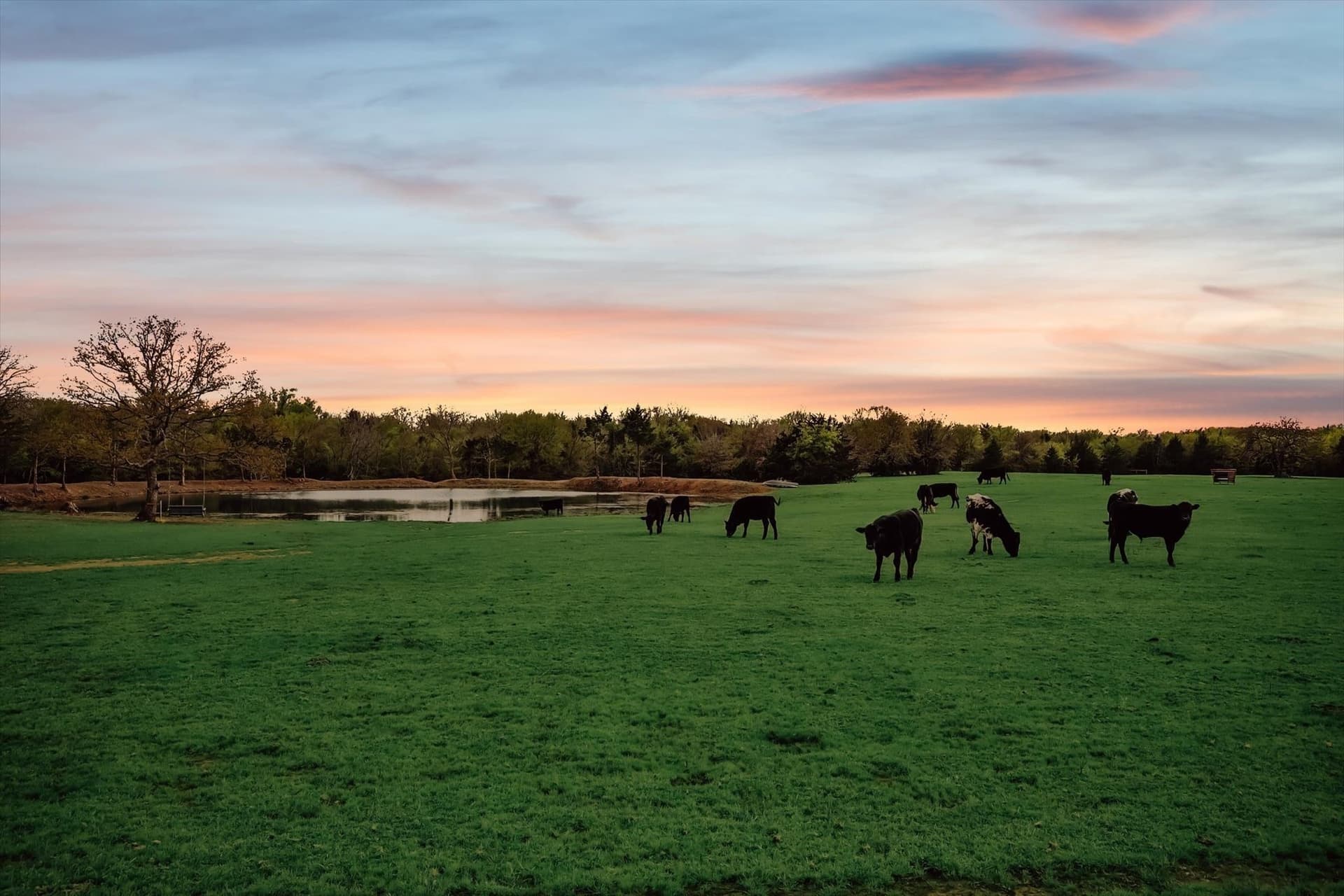 24.47 acres in Cooke County - photo 31