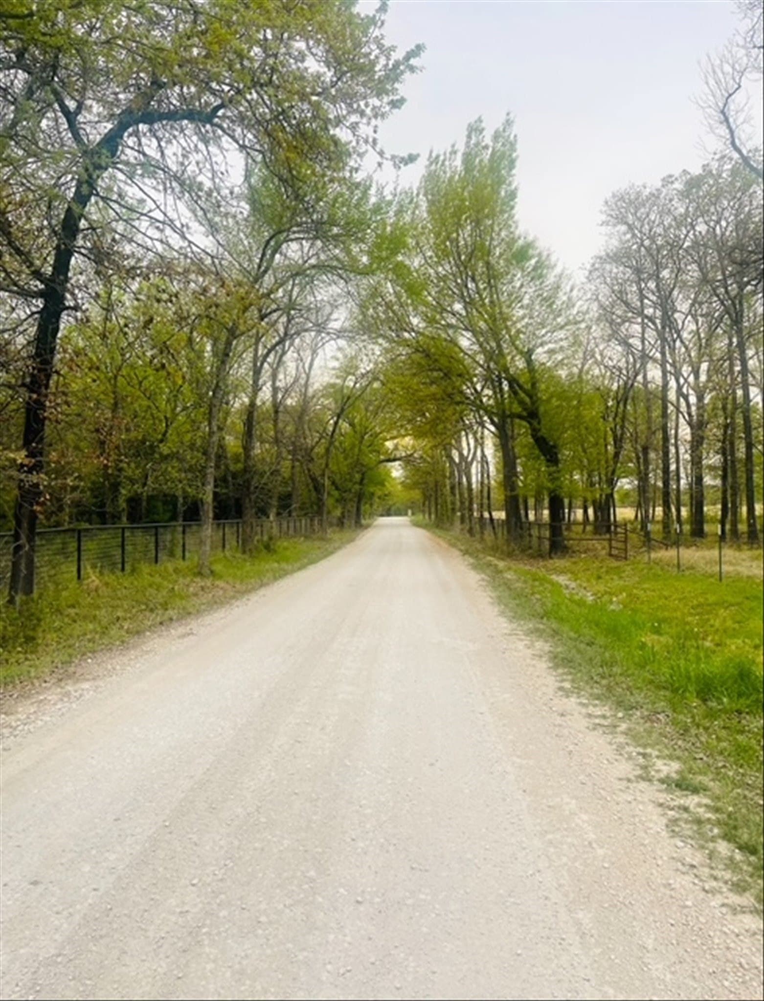 24.47 acres in Cooke County - photo 39
