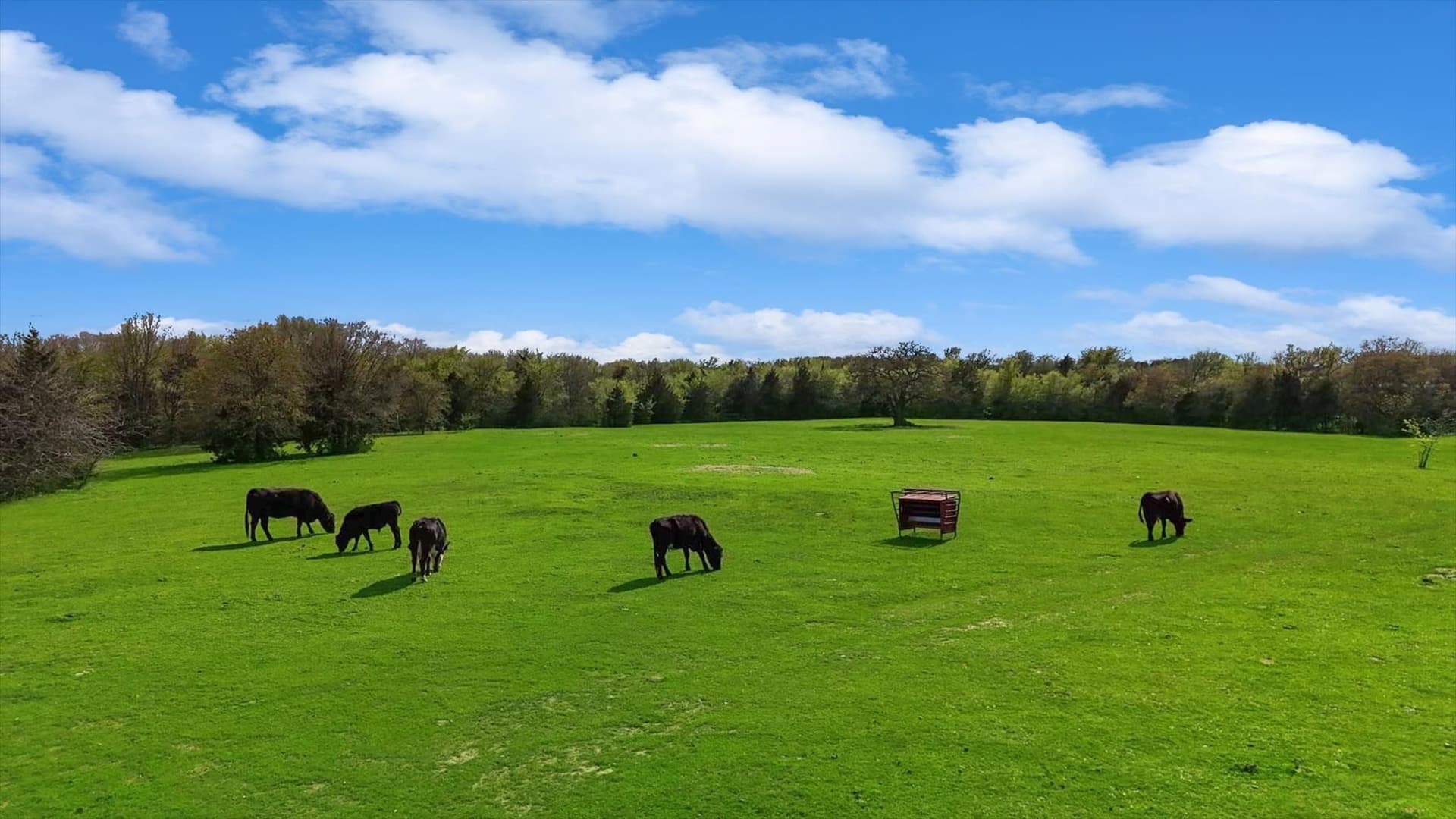 24.47 acres in Cooke County - photo 32