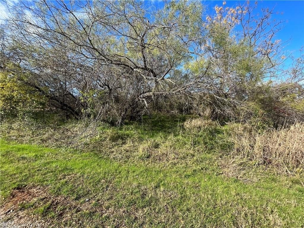 0.26 acres in Hill County gallery image 2