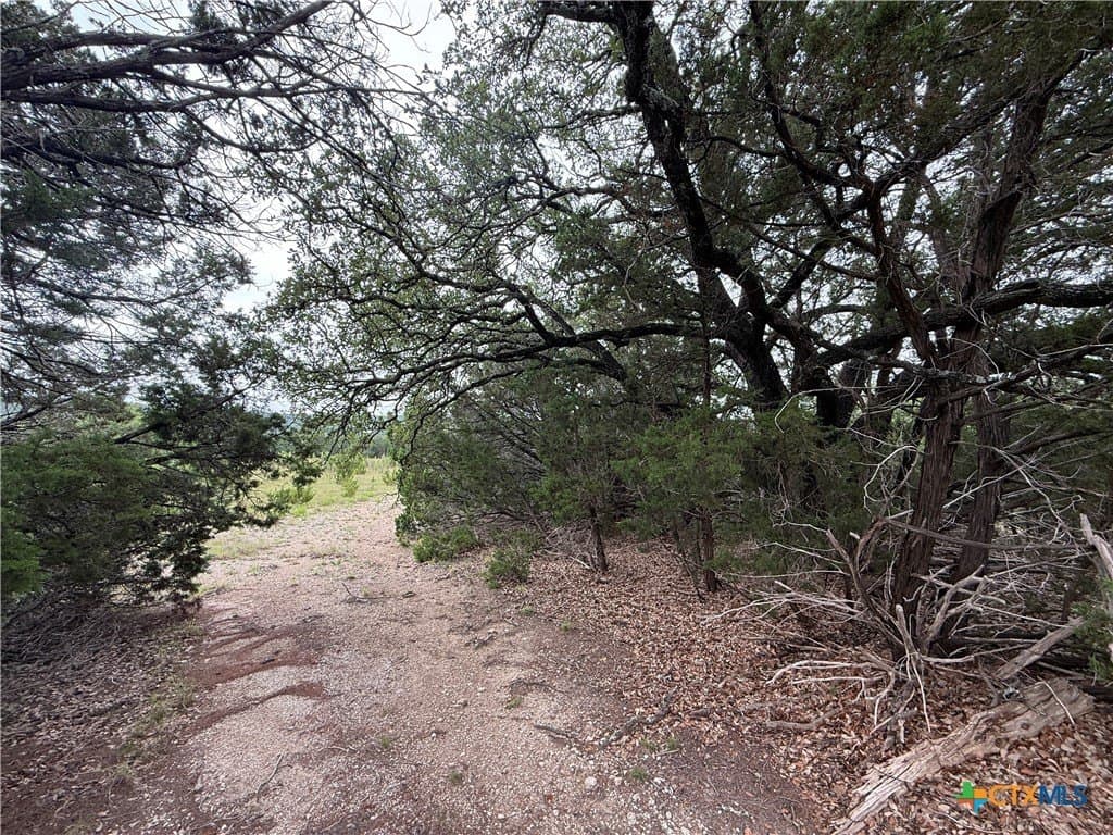 50 acres in Bell County - photo 18