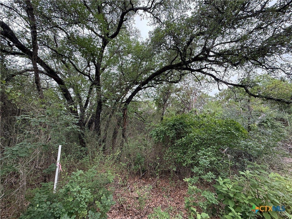50 acres in Bell County - photo 11