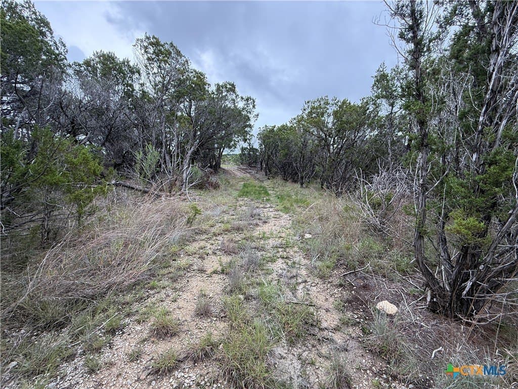 50 acres in Bell County - photo 14