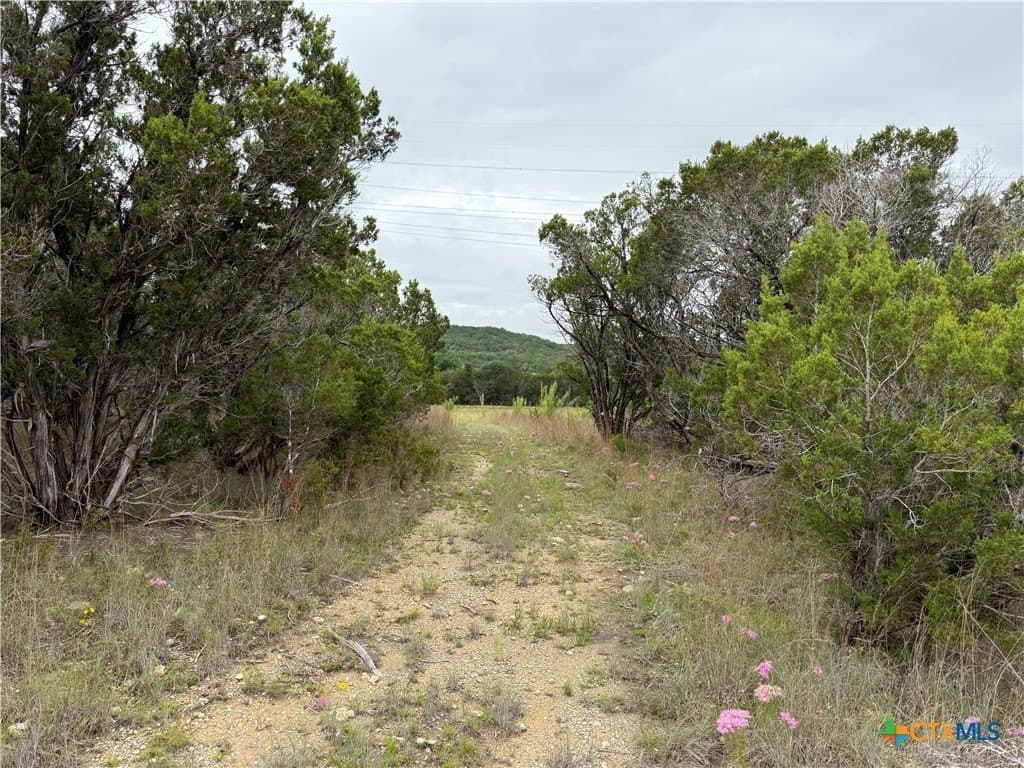 50 acres in Bell County - photo 15