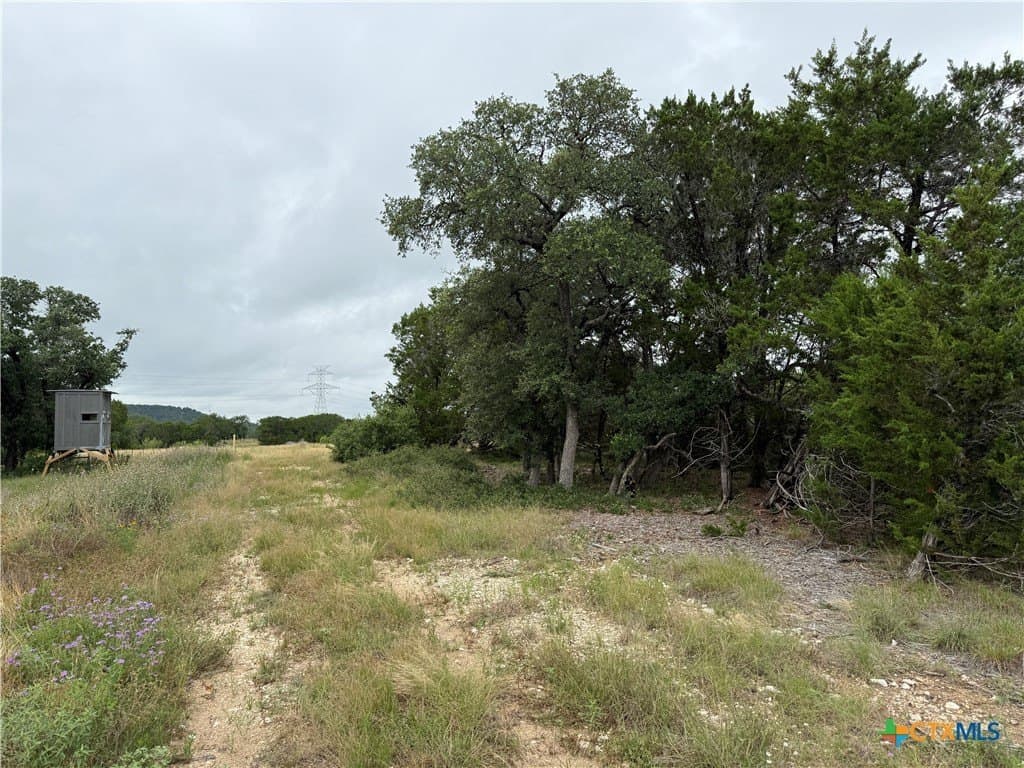 50 acres in Bell County - photo 10