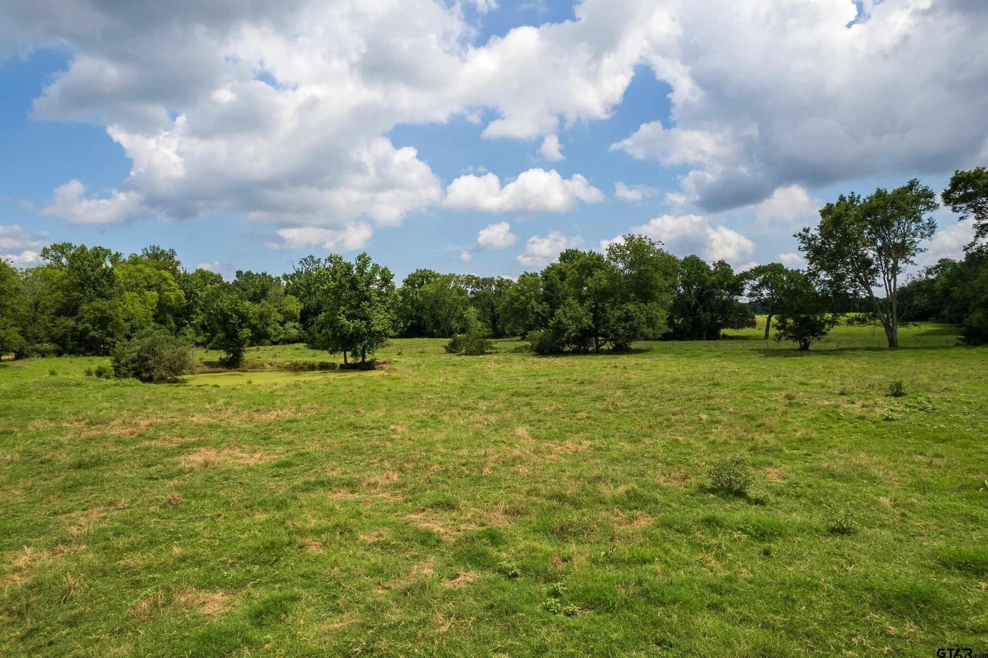 10 acres in Titus County featured view