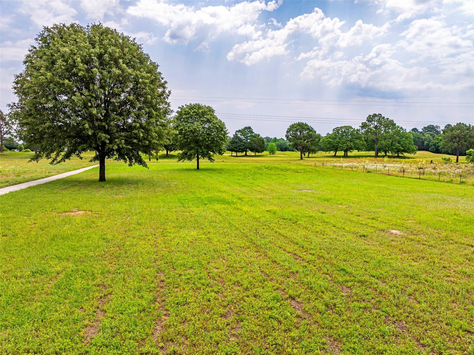 1 acres in Smith County - photo 3