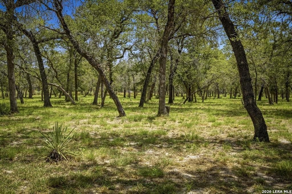 15.23 acres in Guadalupe County - photo 43