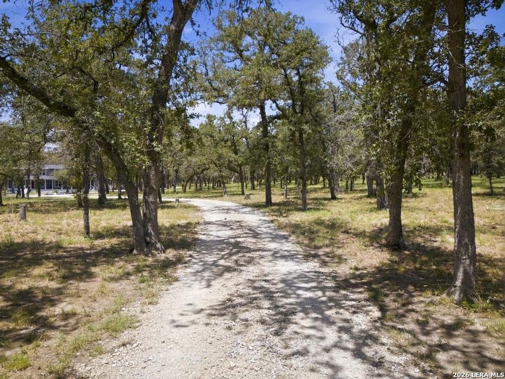 15.23 acres in Guadalupe County - photo 47