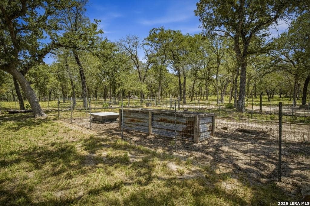 15.23 acres in Guadalupe County - photo 38