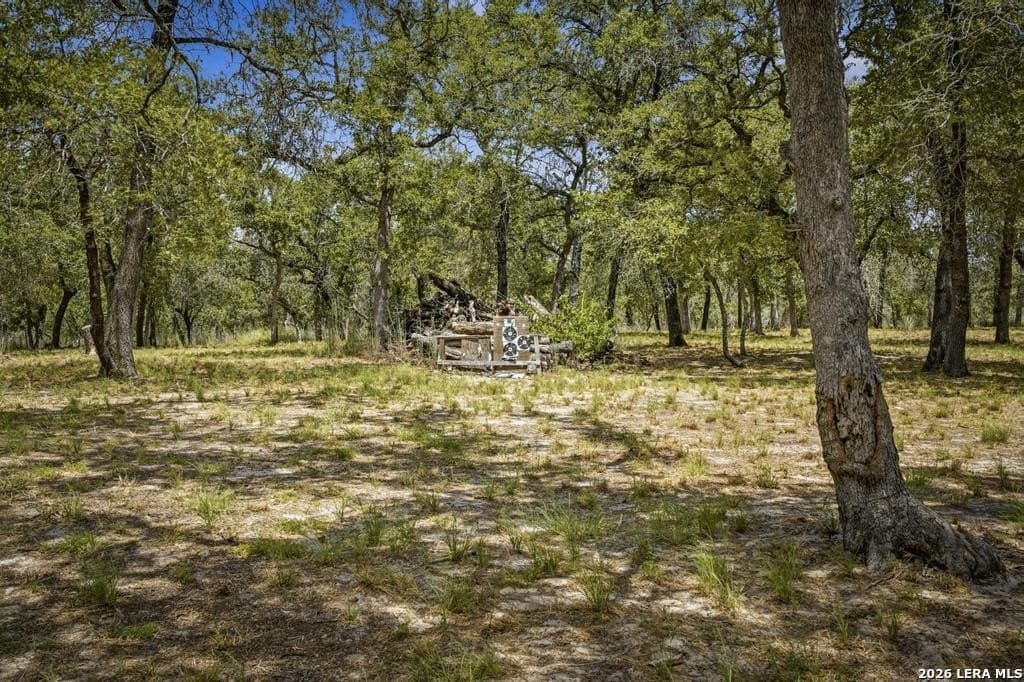 15.23 acres in Guadalupe County - photo 42