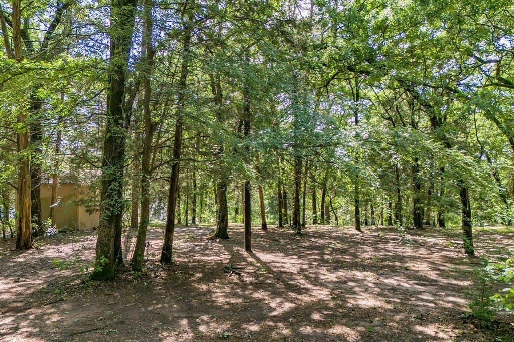 1.06 acres in Franklin (TX) County - photo 6