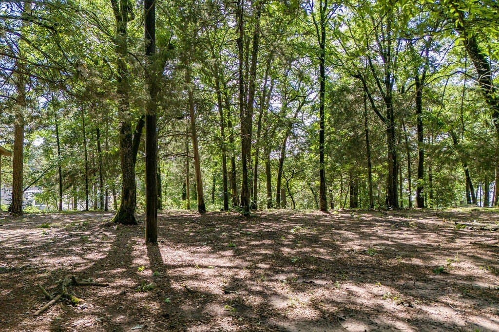1.06 acres in Franklin (TX) County - photo 9