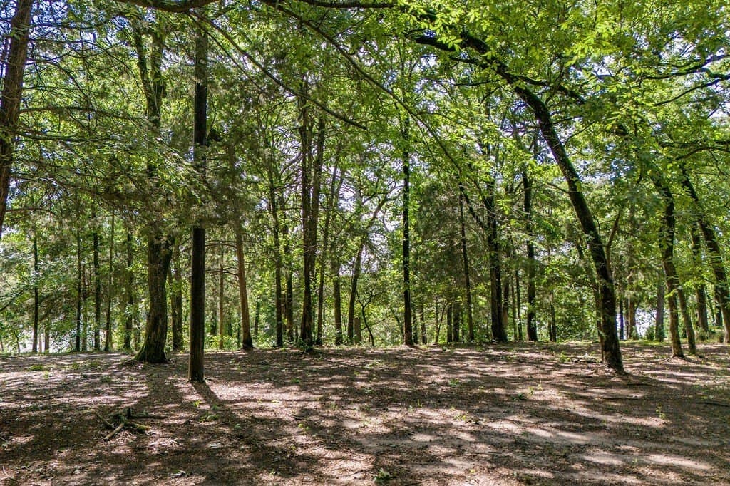 1.06 acres in Franklin (TX) County - photo 7