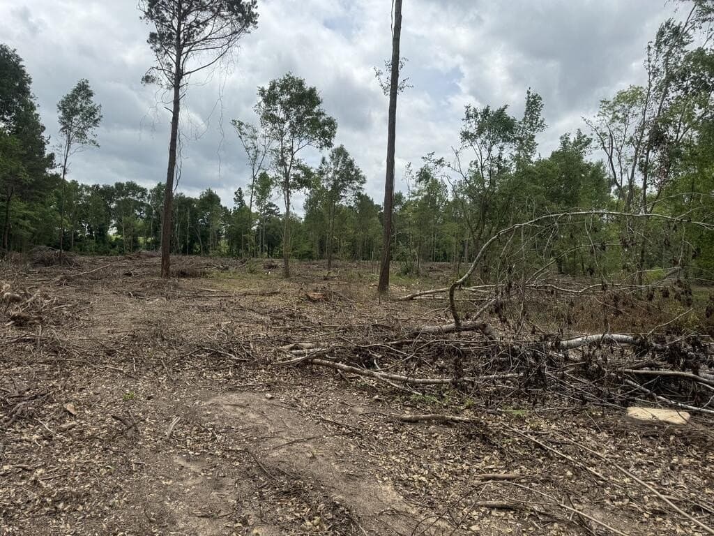 15 acres in Texas County - photo 7
