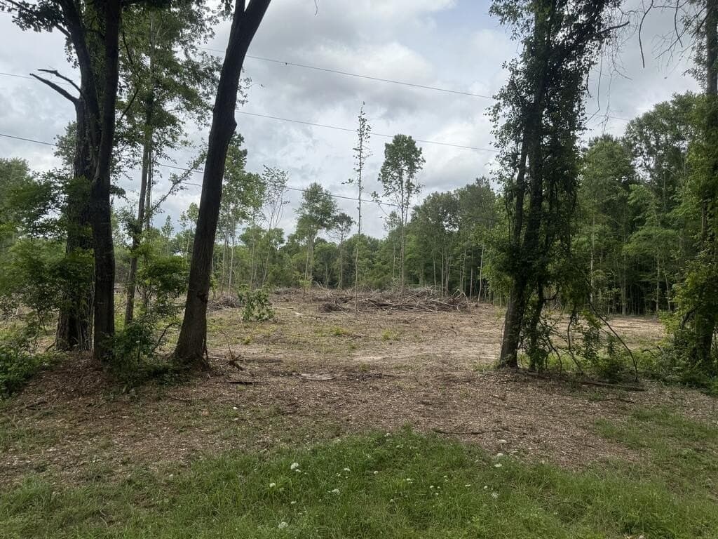 15 acres in Texas County - photo 2