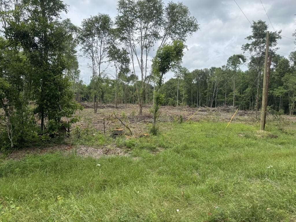 15 acres in Texas County - photo 3