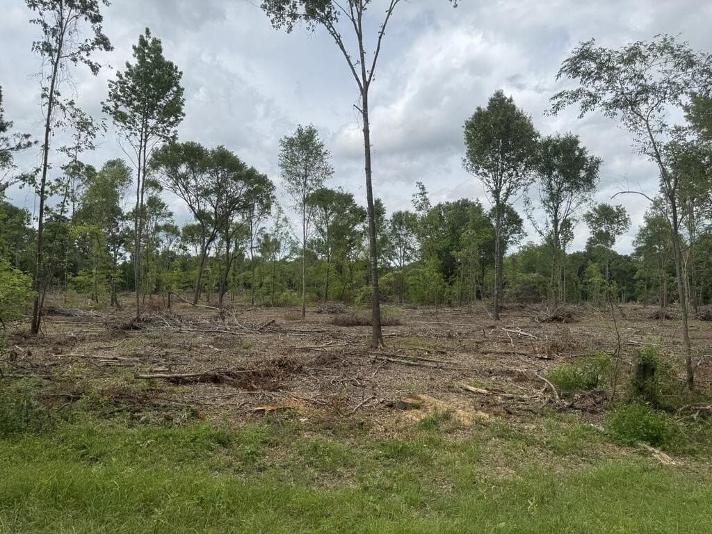 15 acres in Texas County - photo 5