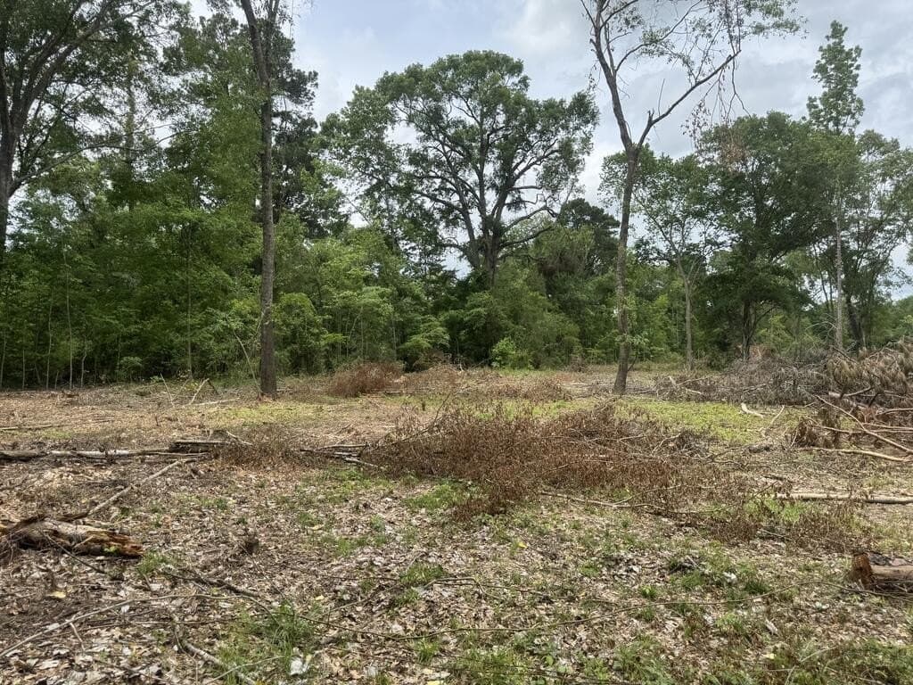 15 acres in Texas County - photo 6