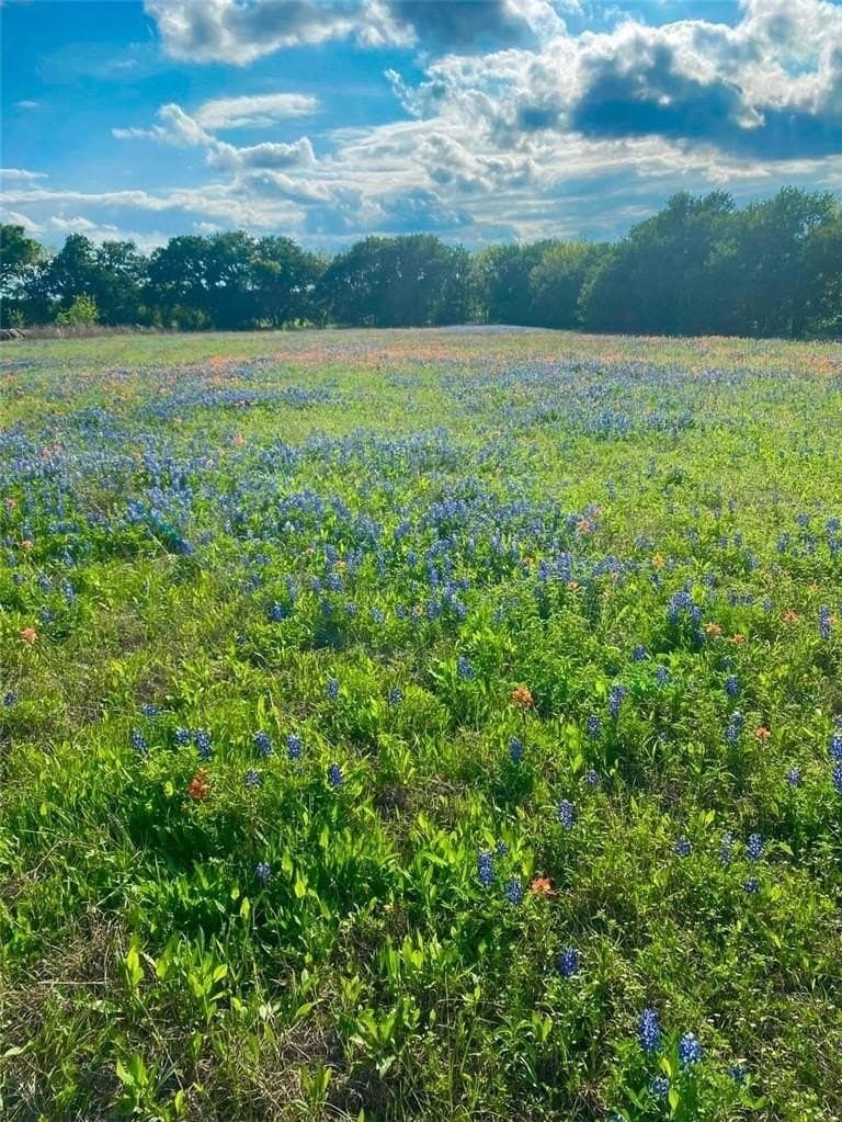 38 acres in McLennan County
