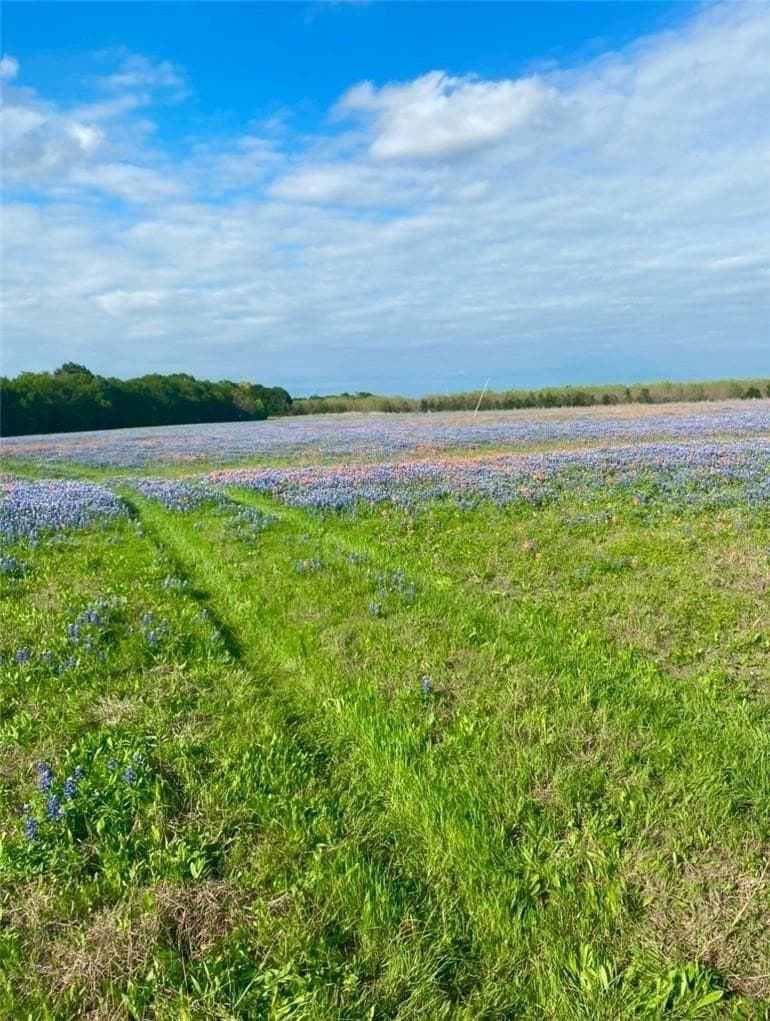 38 acres in McLennan County - photo 2