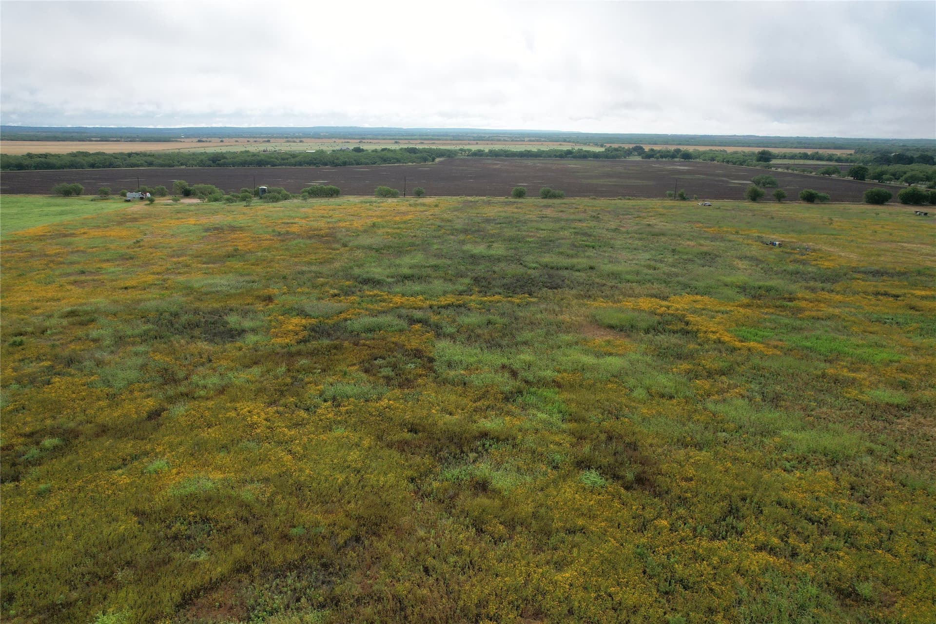 10.01 acres in Taylor County gallery image 4
