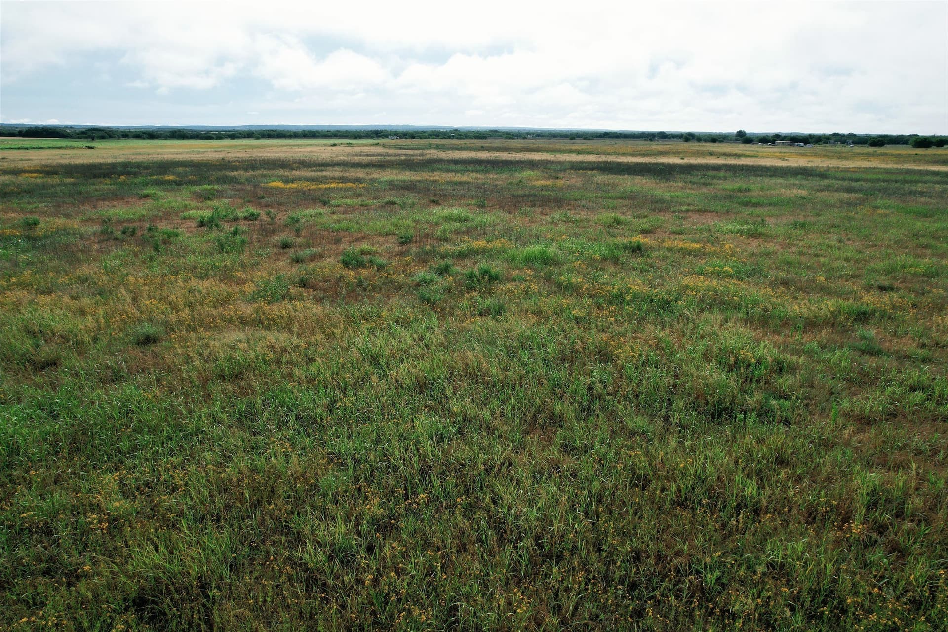 10.01 acres in Taylor County - photo 10