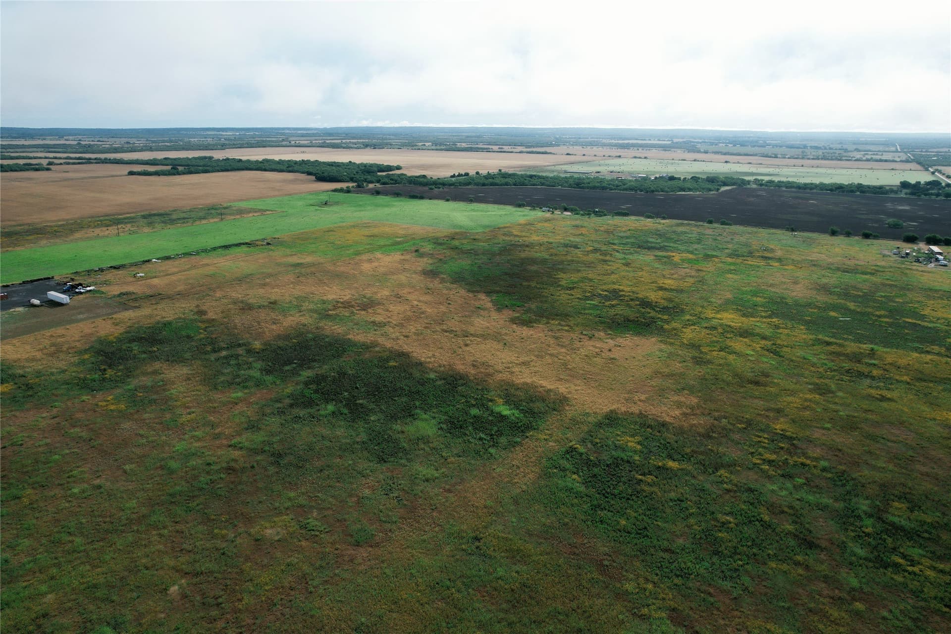 10.01 acres in Taylor County - photo 8