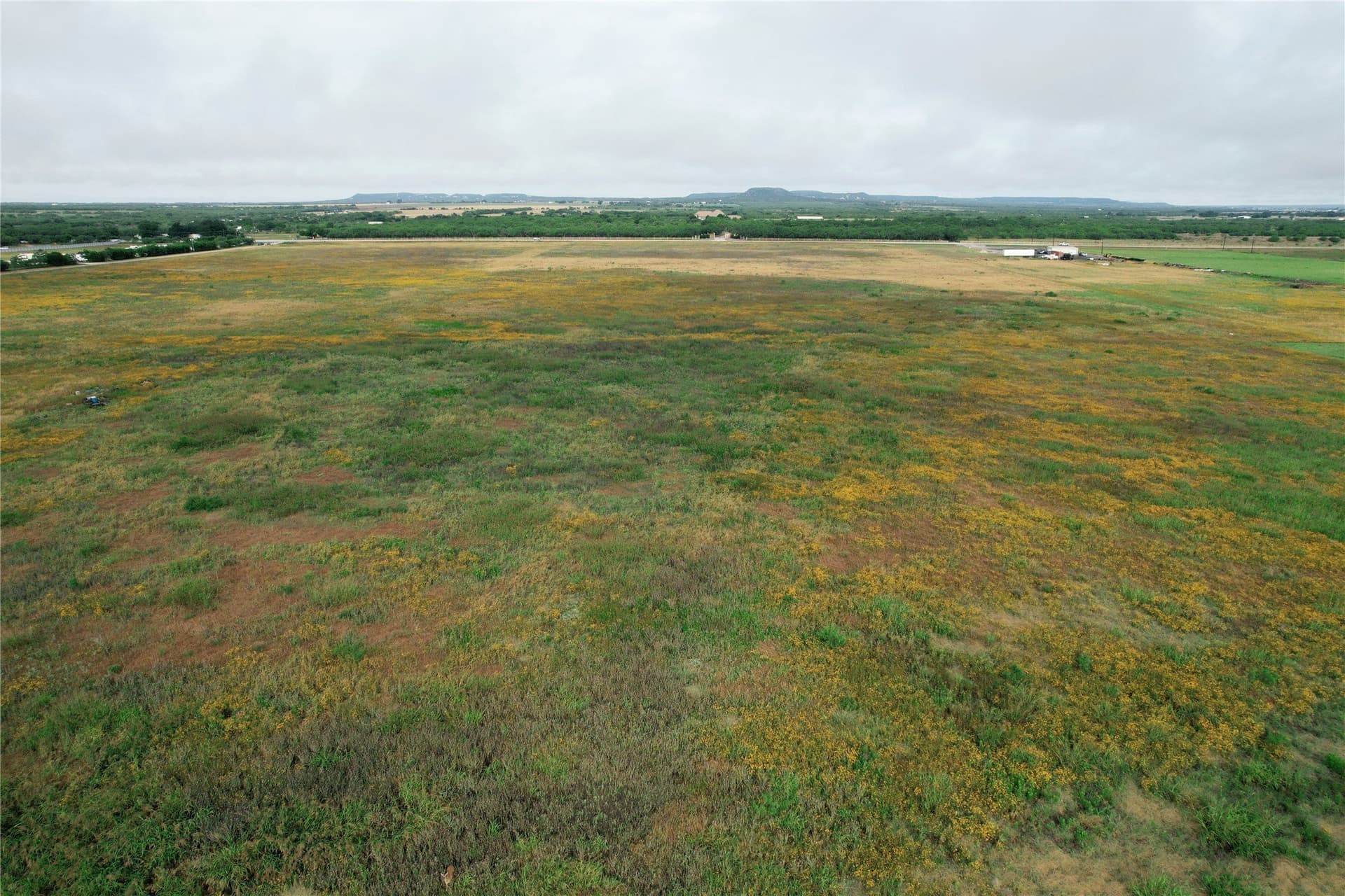 10.01 acres in Taylor County featured view