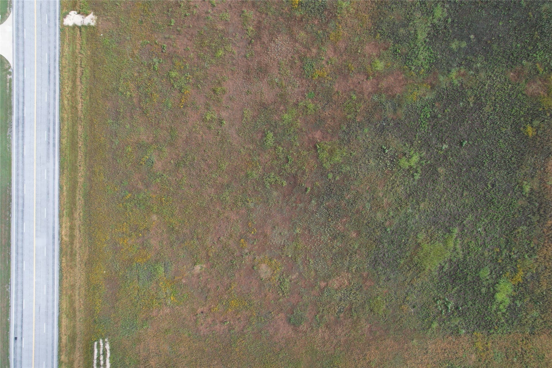 10.01 acres in Taylor County - photo 6