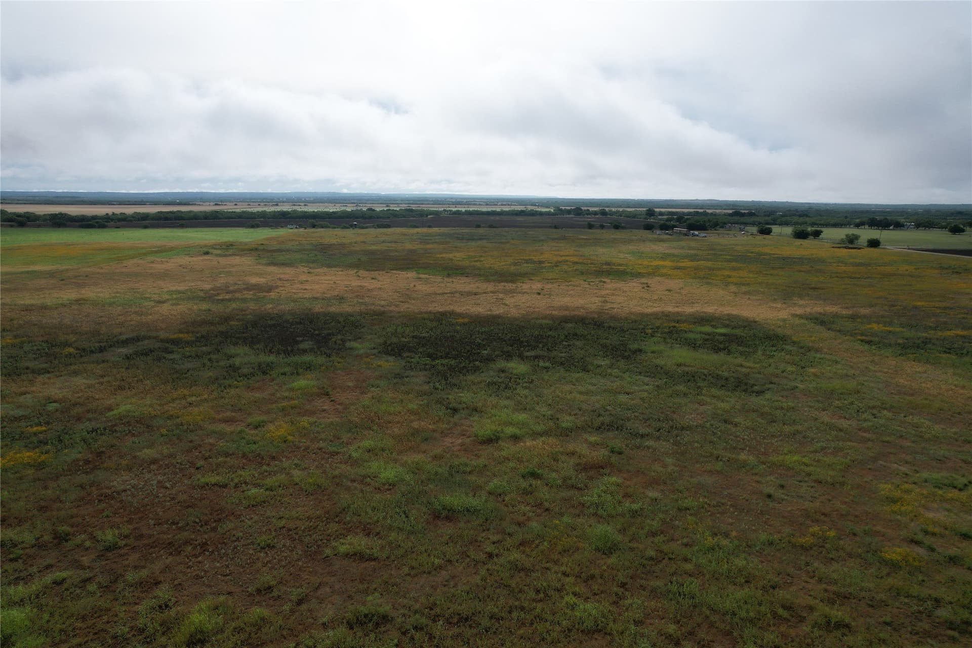 10.01 acres in Taylor County gallery image 3