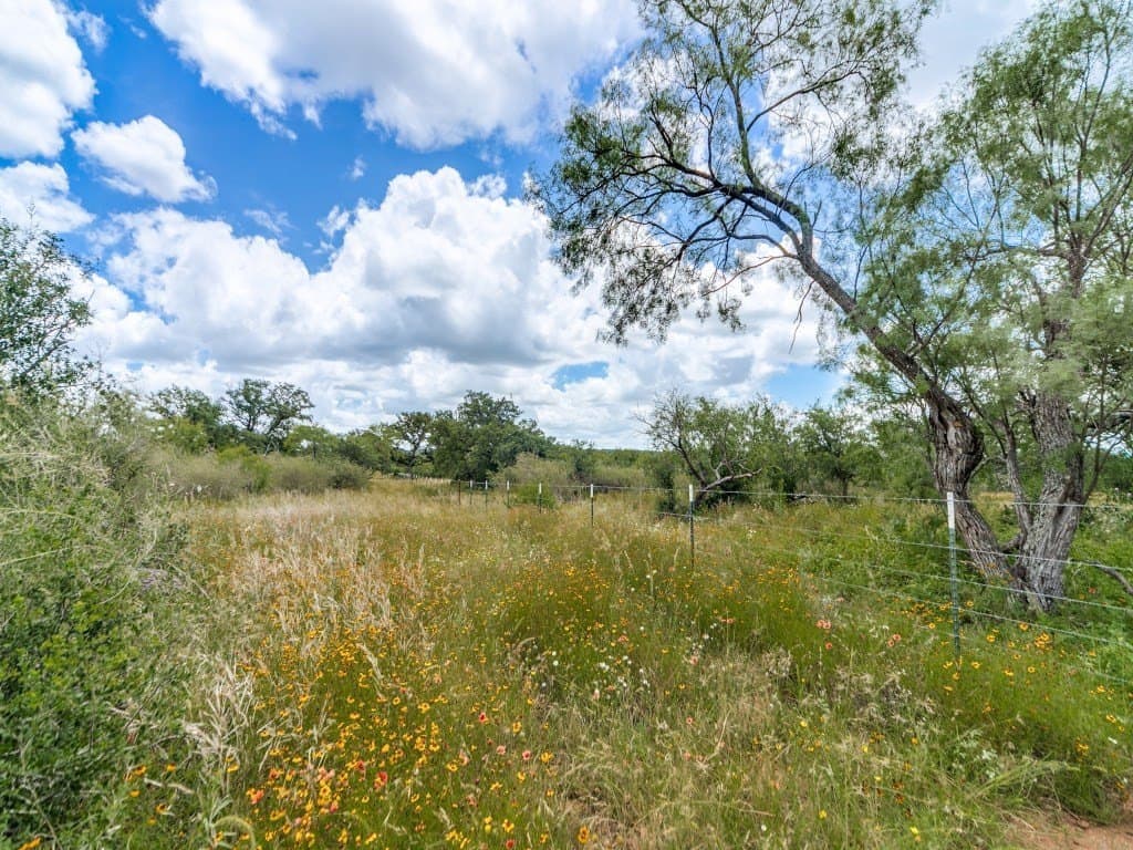 79.35 acres in Mason County gallery image 3