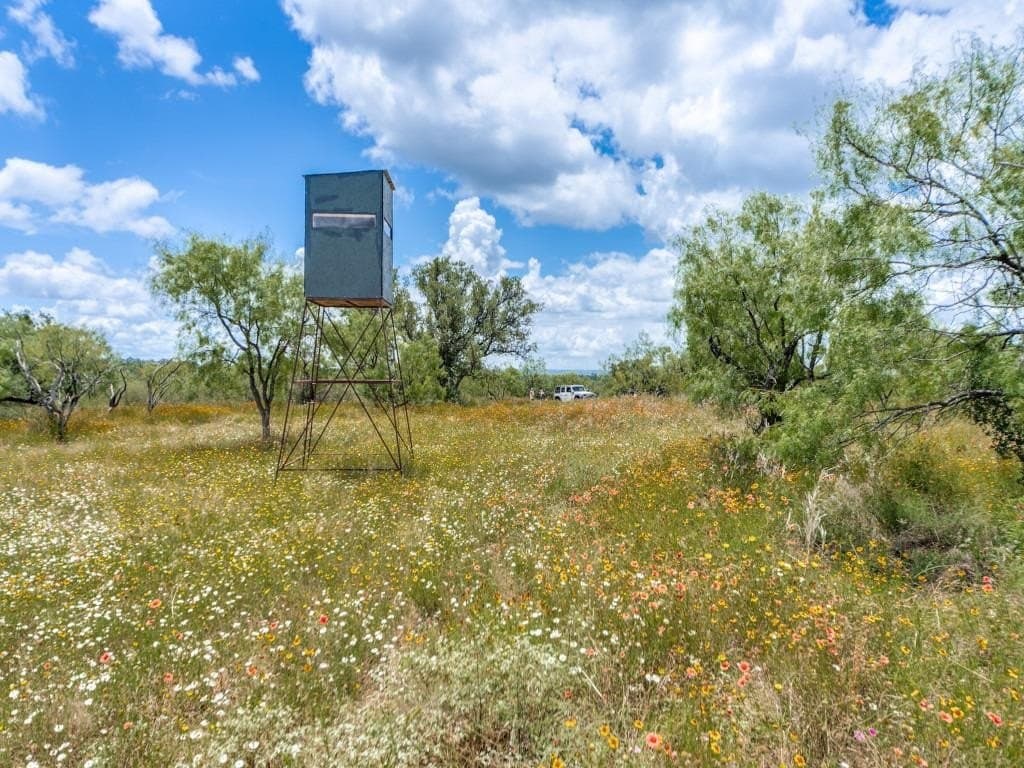 79.35 acres in Mason County
