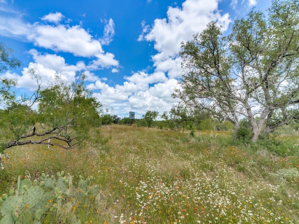 79.35 acres in Mason County gallery image 4