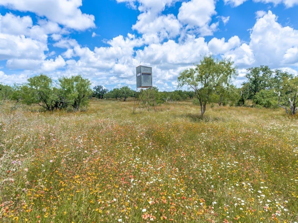 79.35 acres in Mason County featured view