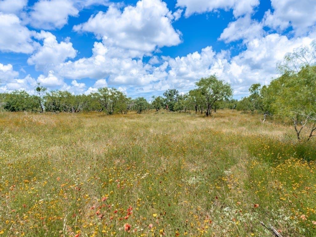 79.35 acres in Mason County - photo 6