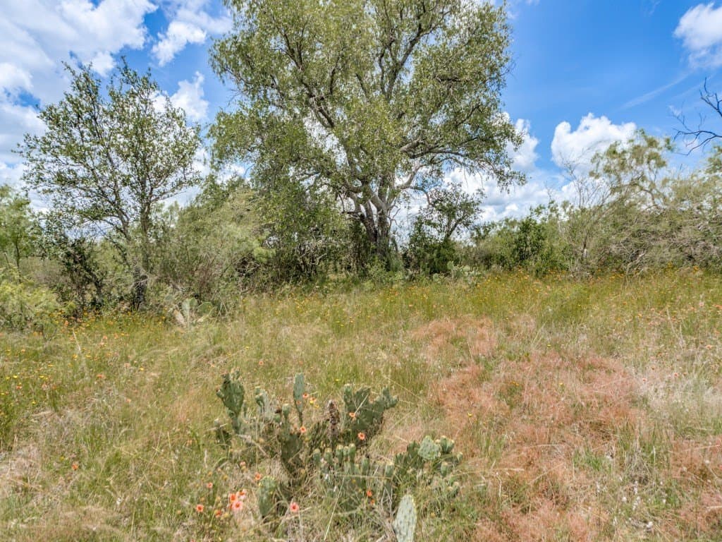 79.35 acres in Mason County - photo 7