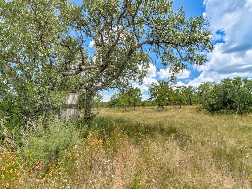79.35 acres in Mason County gallery image 2