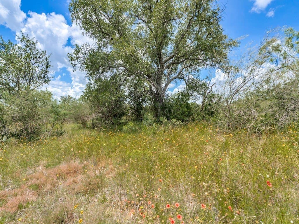 79.35 acres in Mason County - photo 8