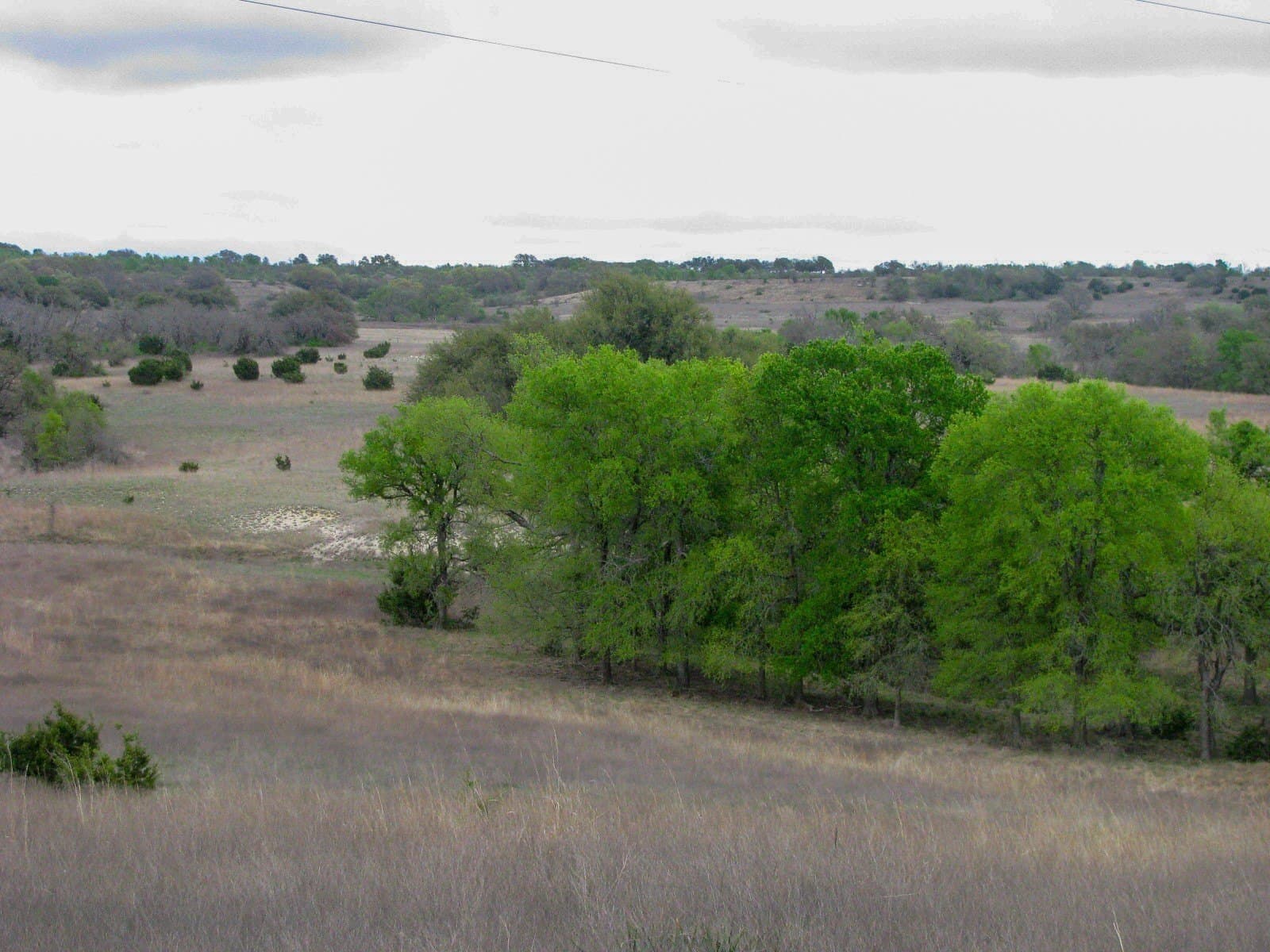 1,048 acres in Hamilton County - photo 35