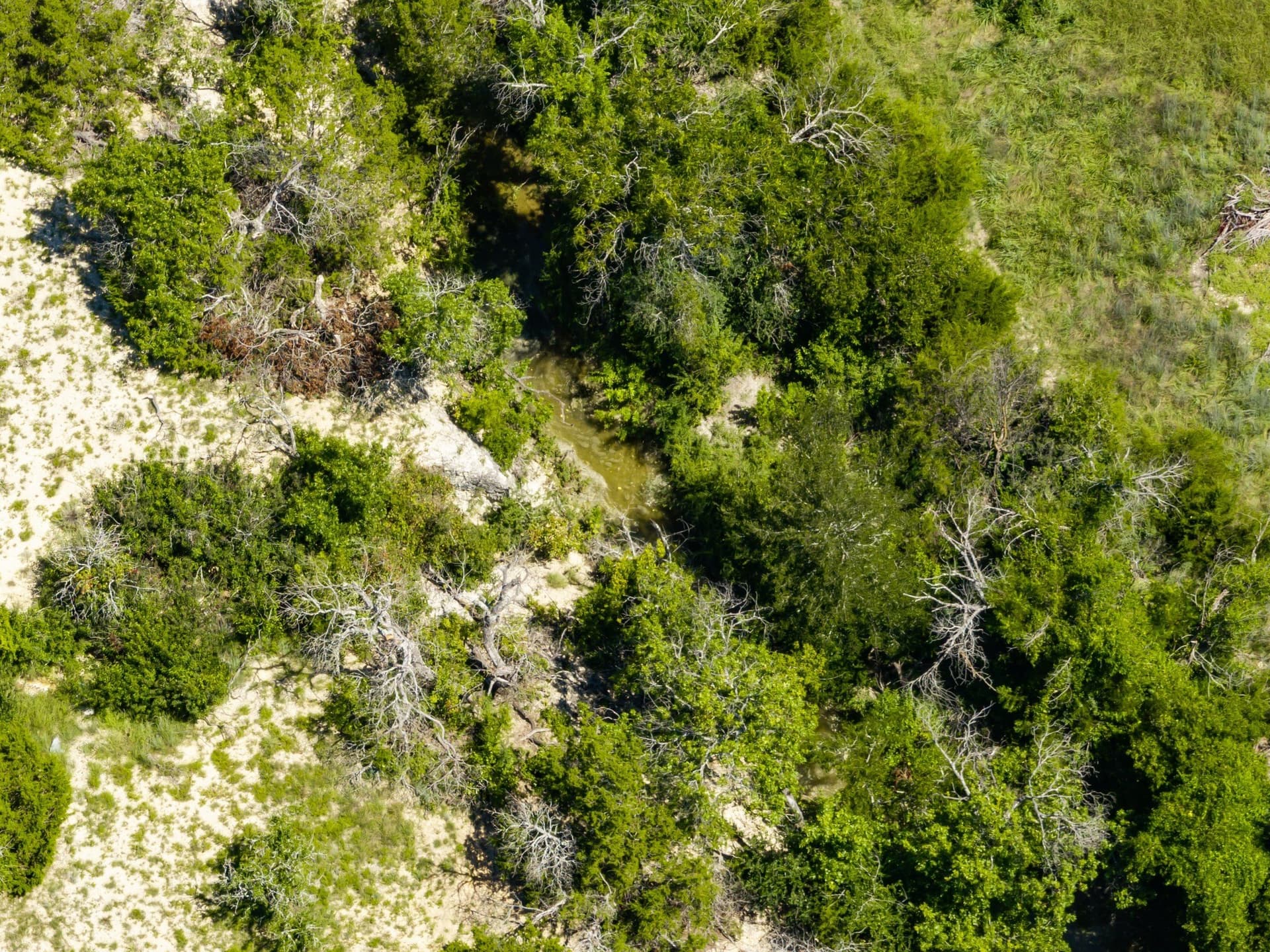 1,048 acres in Hamilton County - photo 18