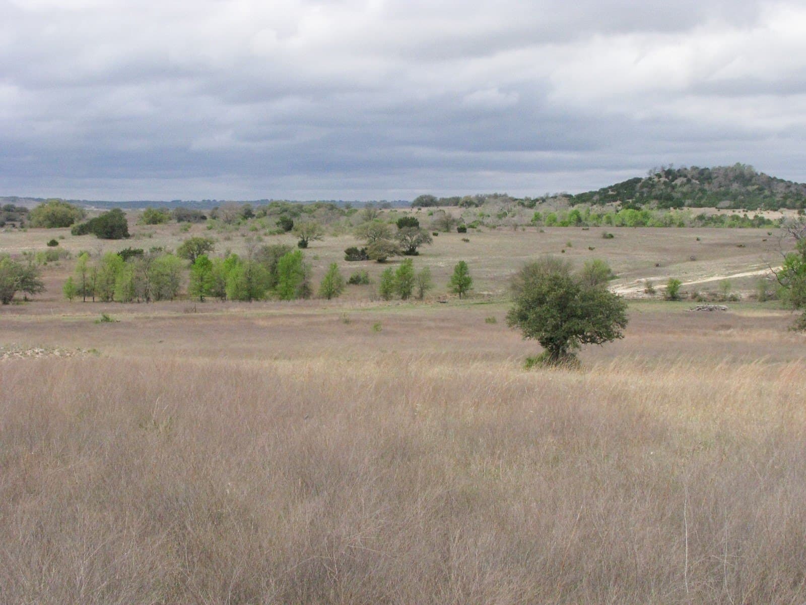 1,048 acres in Hamilton County - photo 30