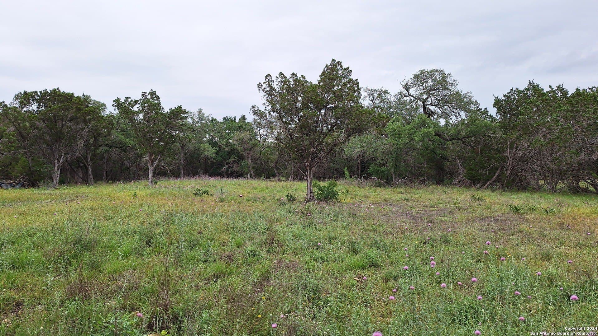 1.81 acres in Comal County - photo 19