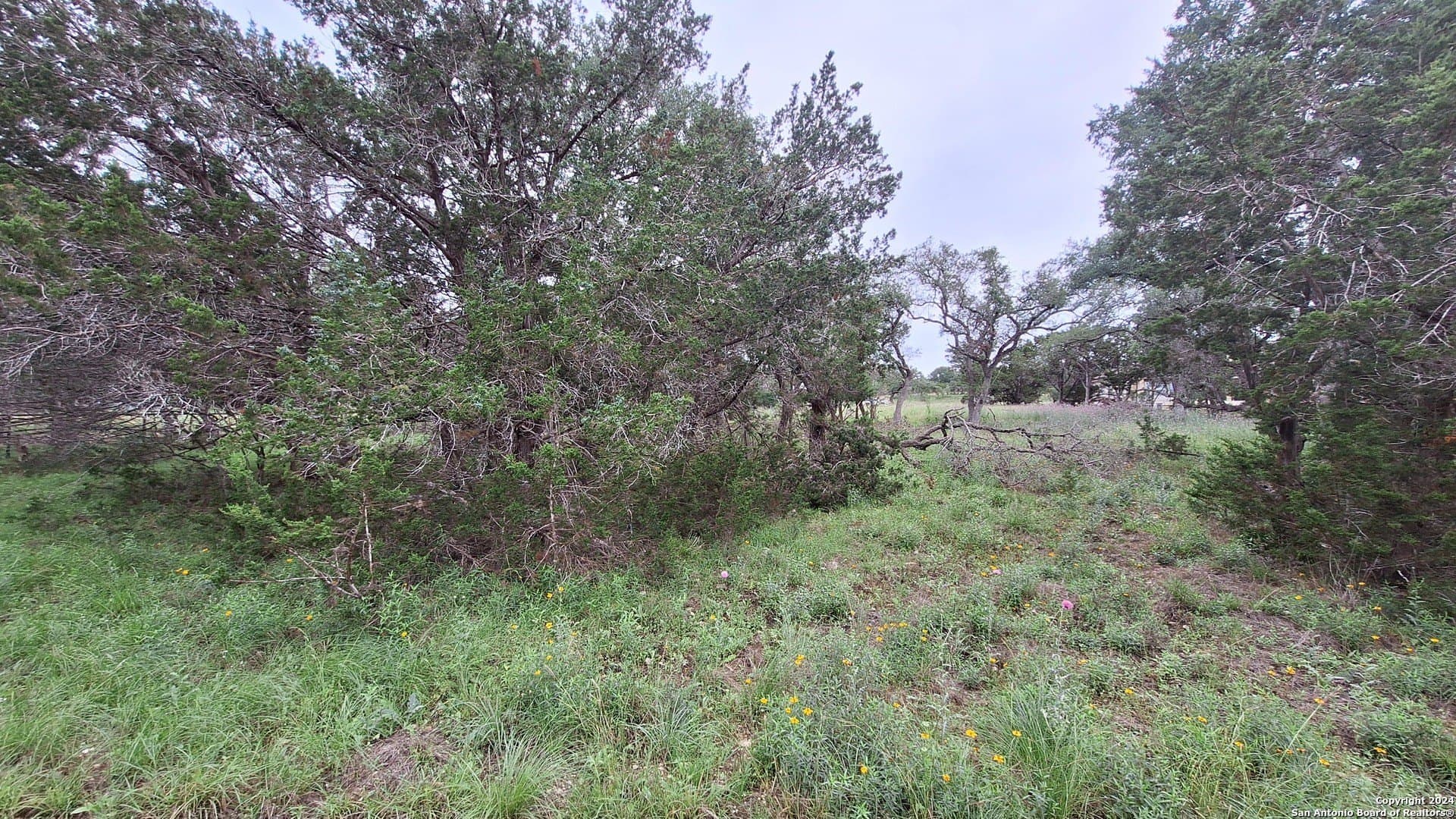 1.81 acres in Comal County - photo 24