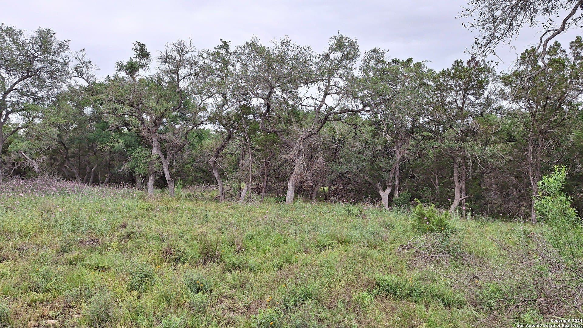 1.81 acres in Comal County - photo 20