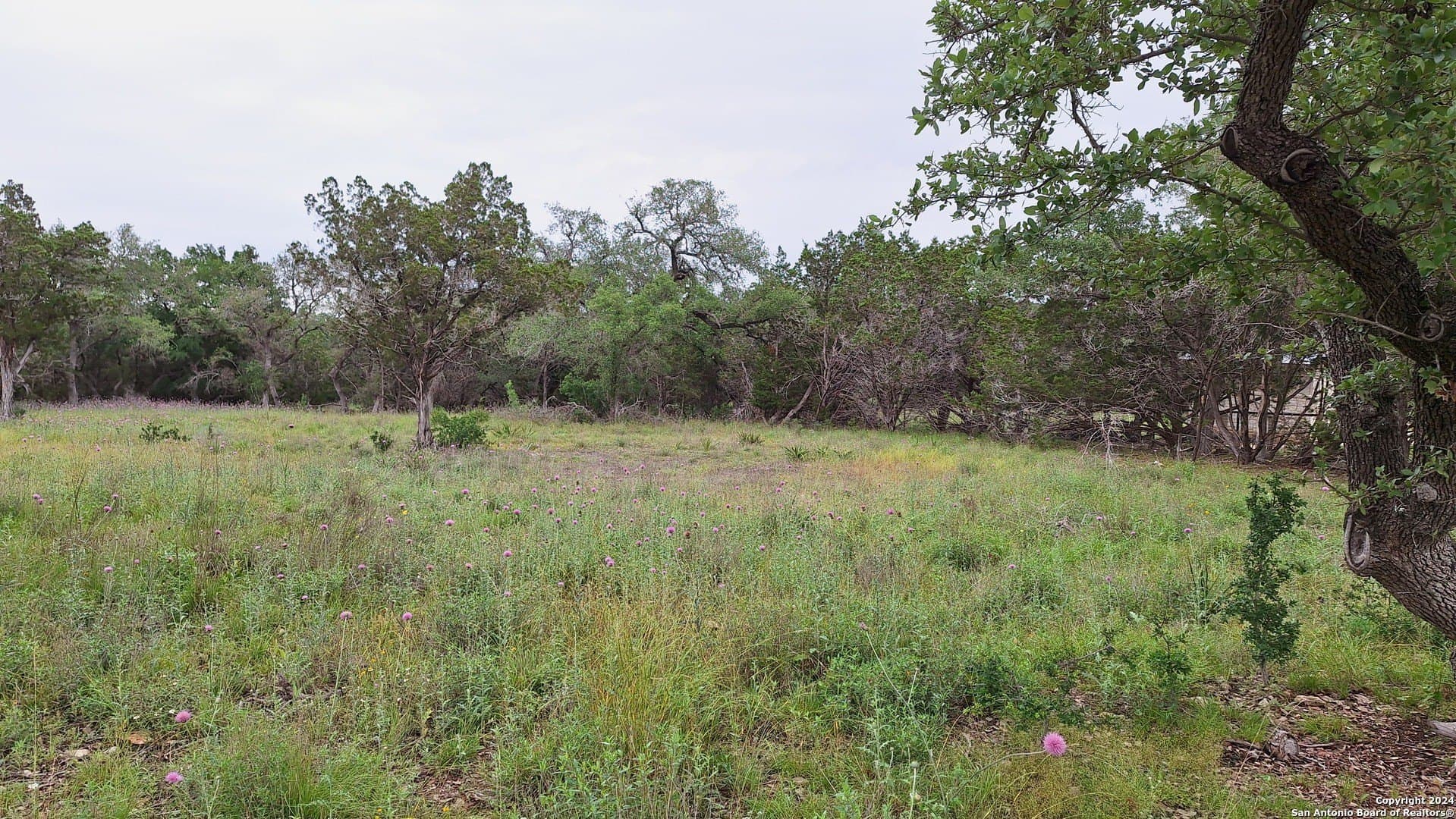 1.81 acres in Comal County - photo 18