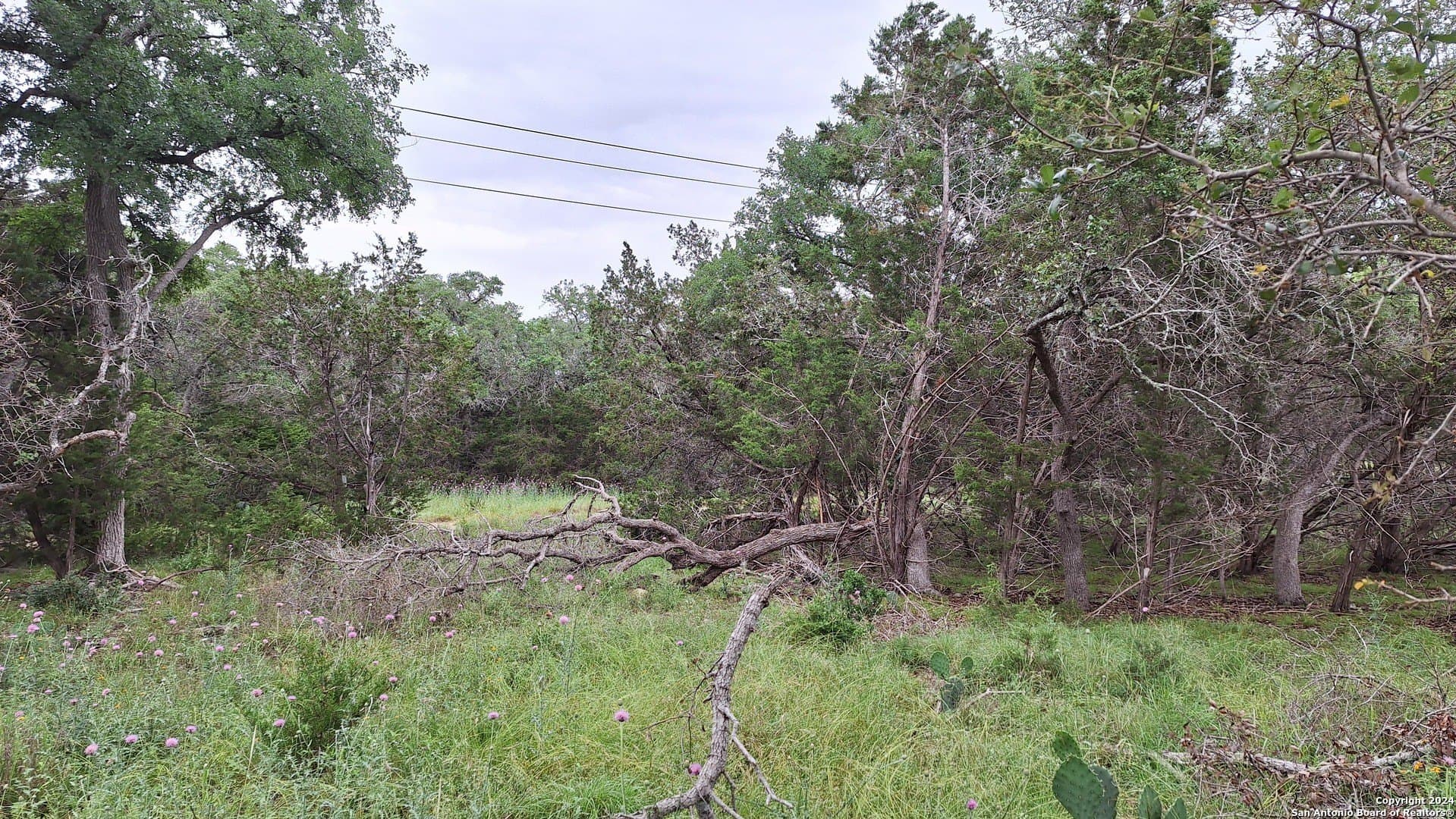 1.81 acres in Comal County - photo 23