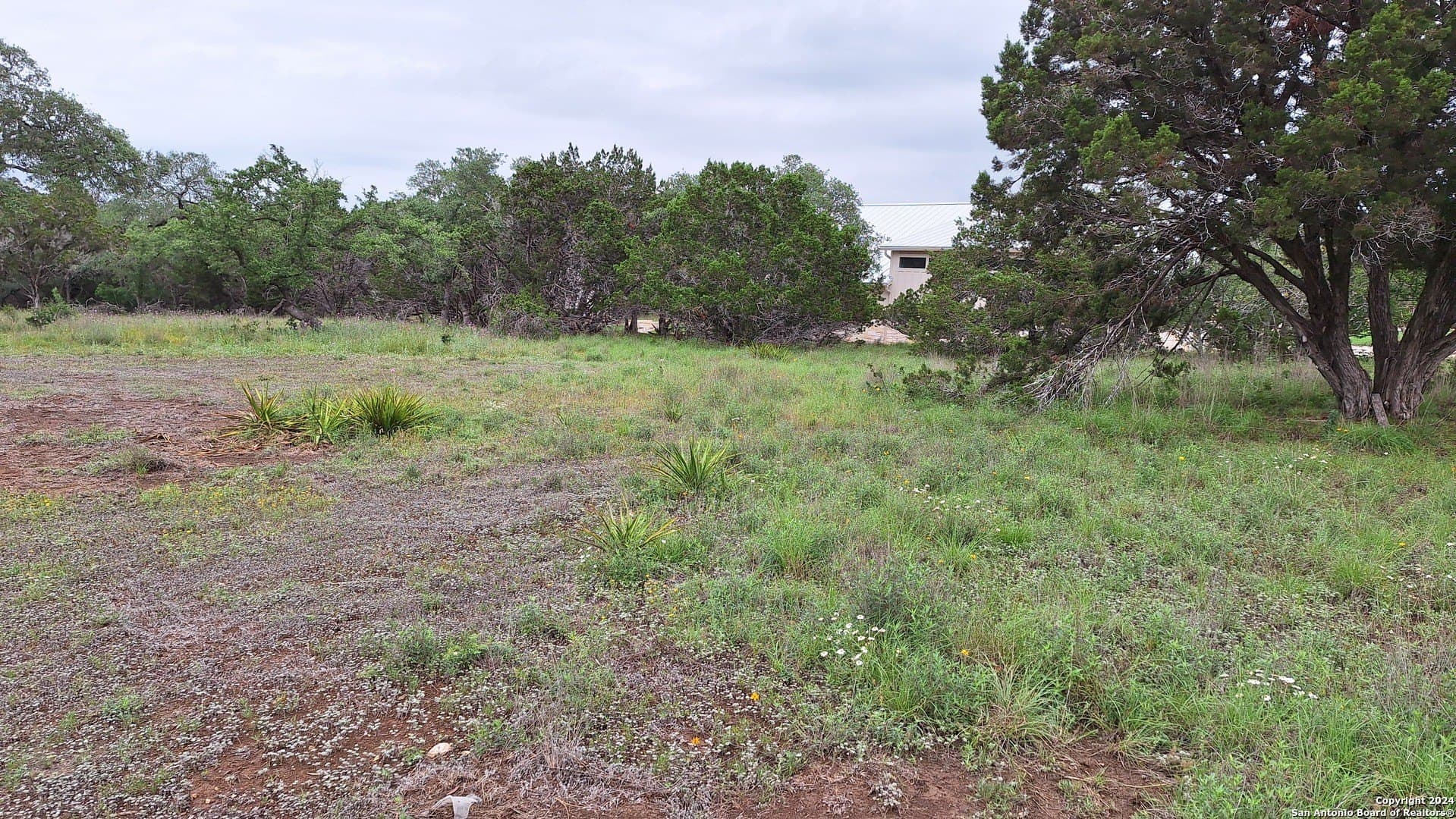 1.81 acres in Comal County - photo 16