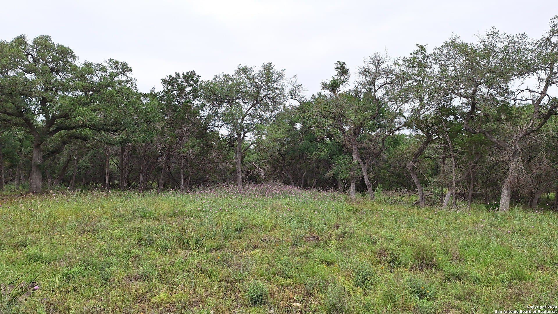 1.81 acres in Comal County - photo 21
