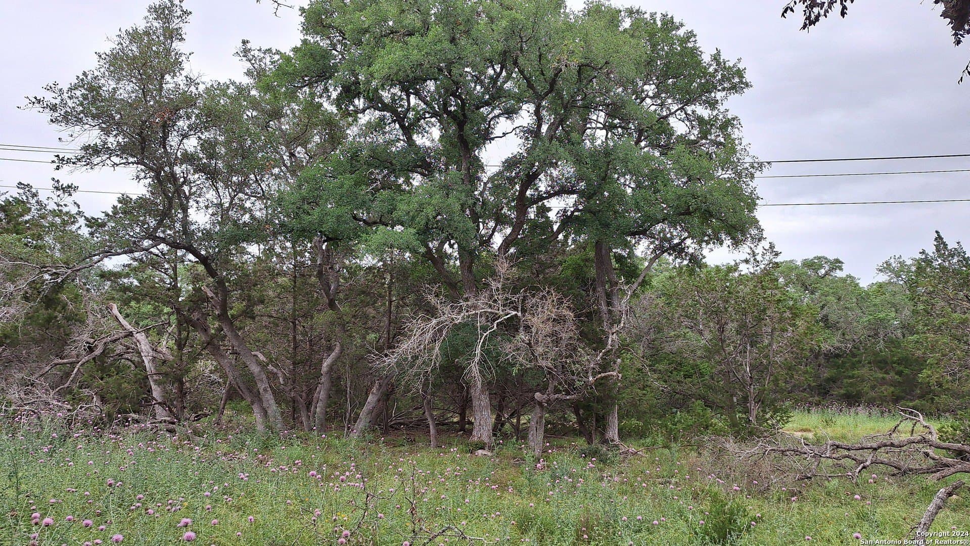 1.81 acres in Comal County - photo 22